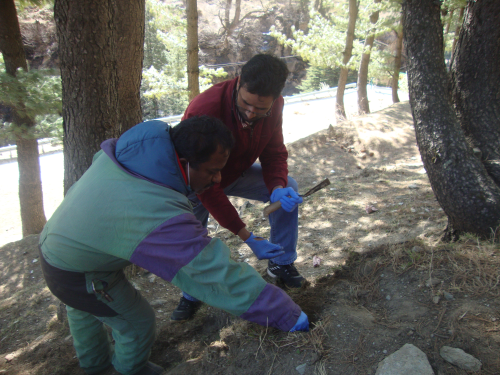 Himachal Pradesh exploration