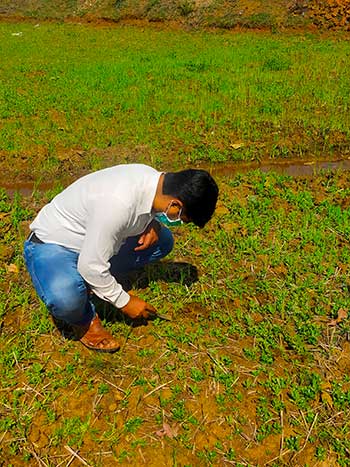 chattisgarh Sampling Image