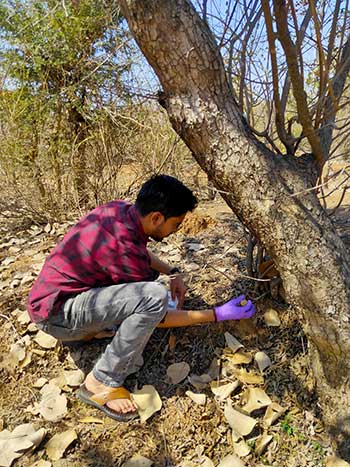 chattisgarh Sampling Image