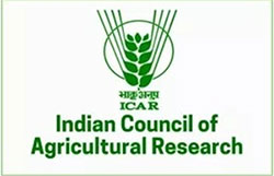 ICAR Logo