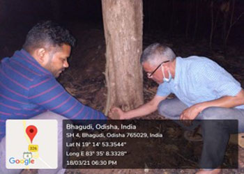 Chattisgarh exploration