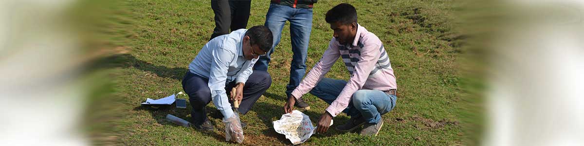 Soil Sample Collection