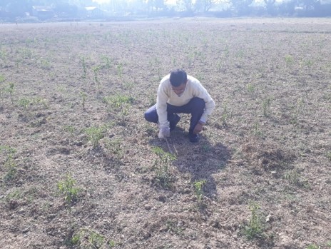 Tripura exploration