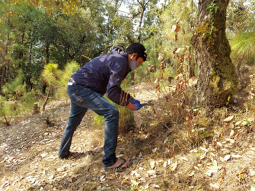 uttarakhand exploration